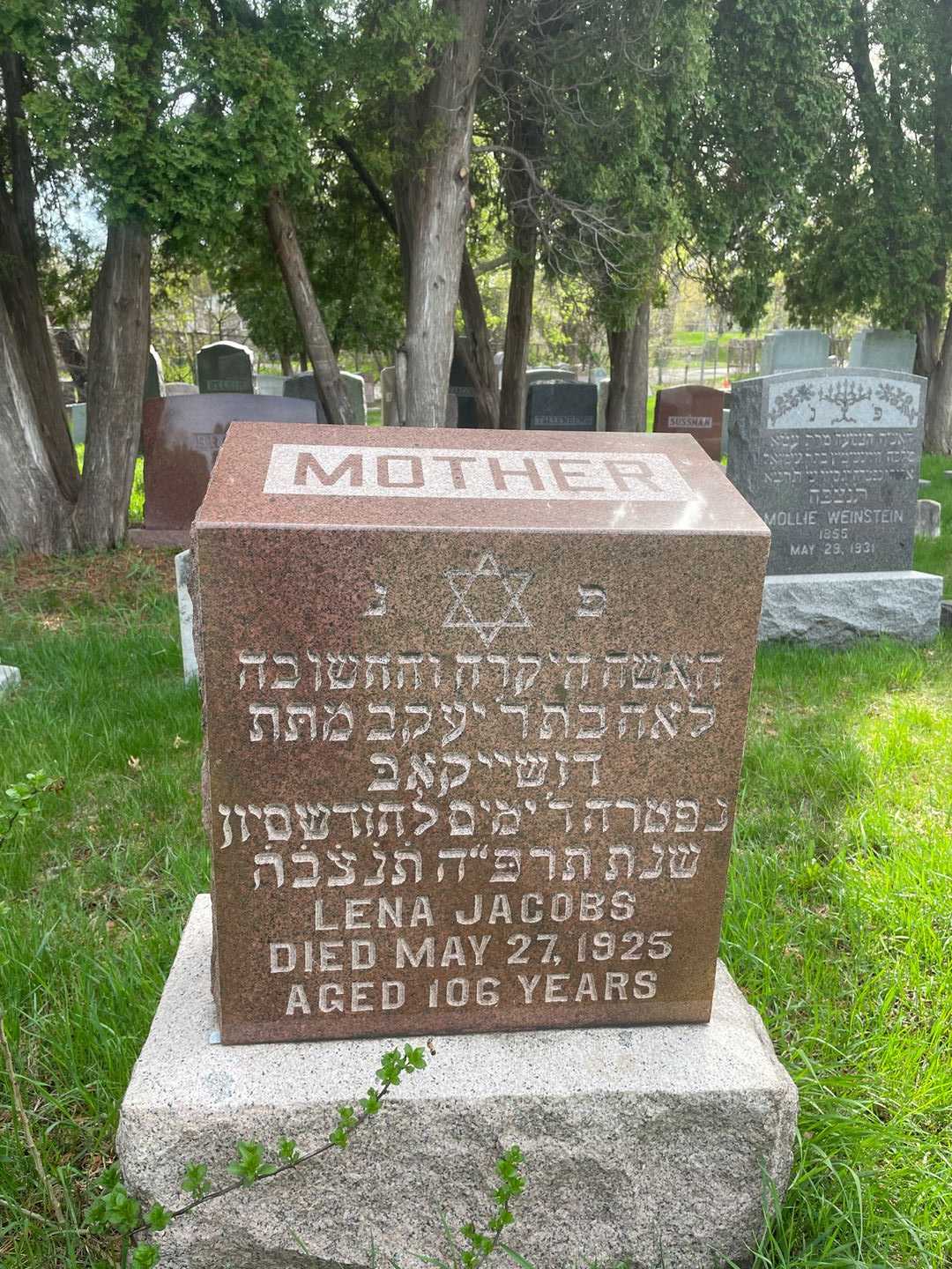 Lena Jacobs's grave. Photo 1