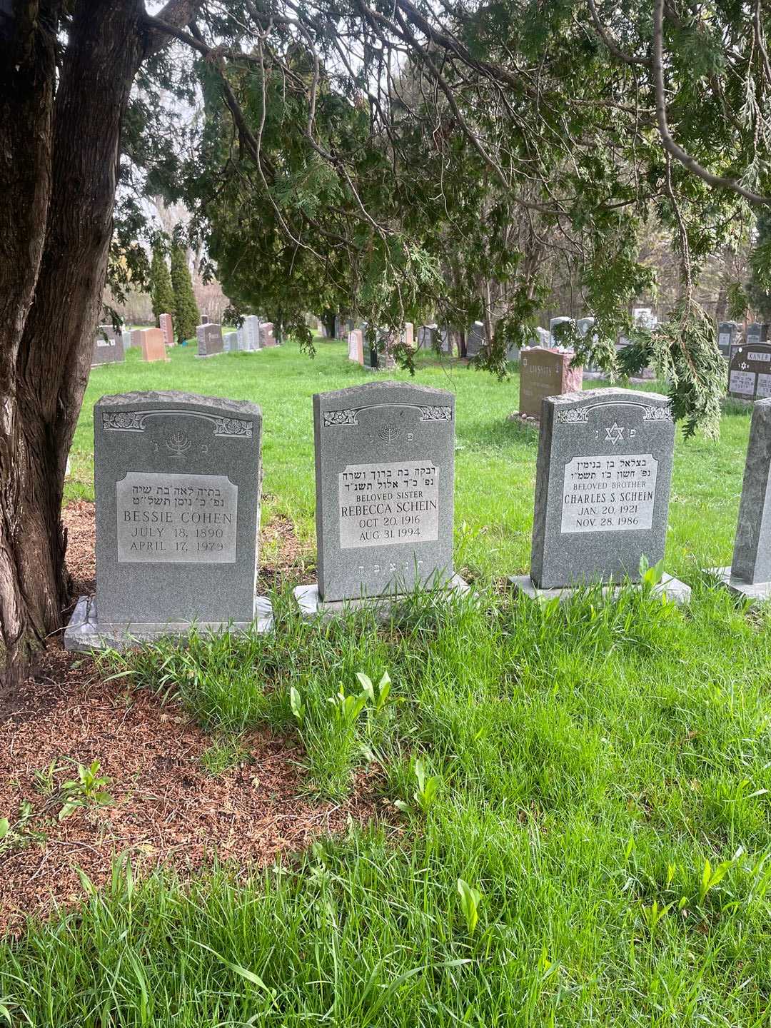 Rebecca Schein's grave. Photo 2