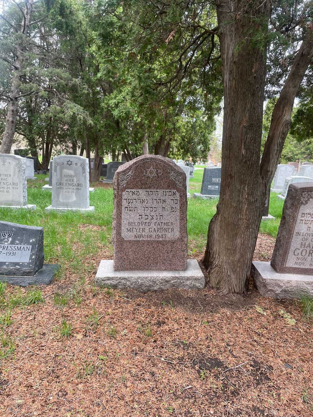 Meyer Gardner's grave. Photo 2