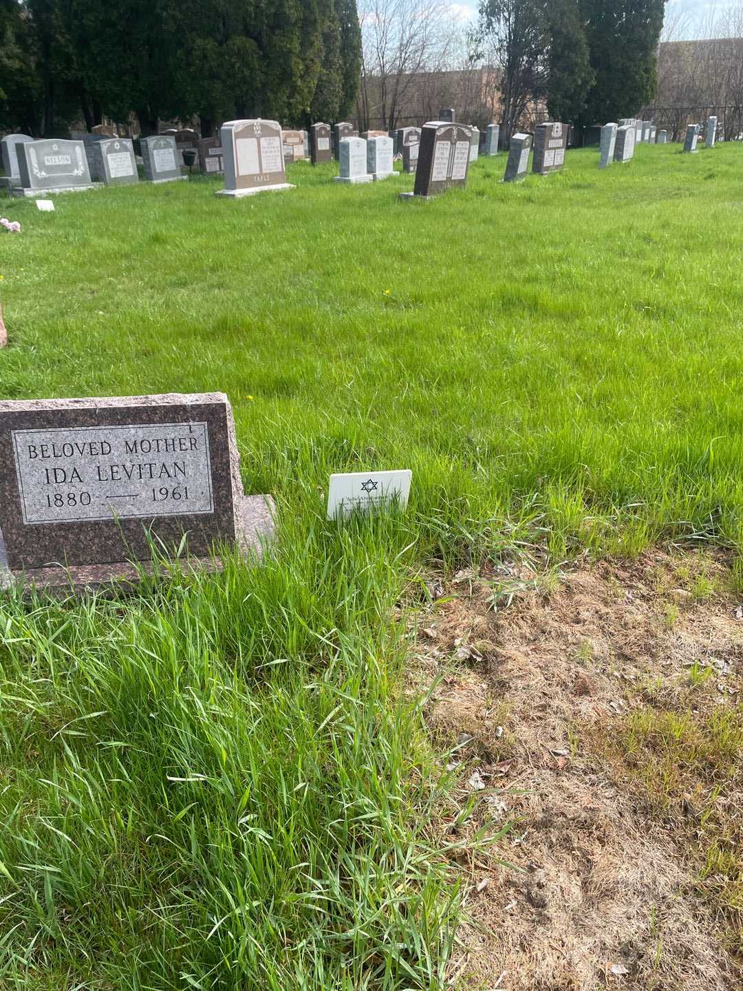 Julie Helen Abrahamson's grave. Photo 2