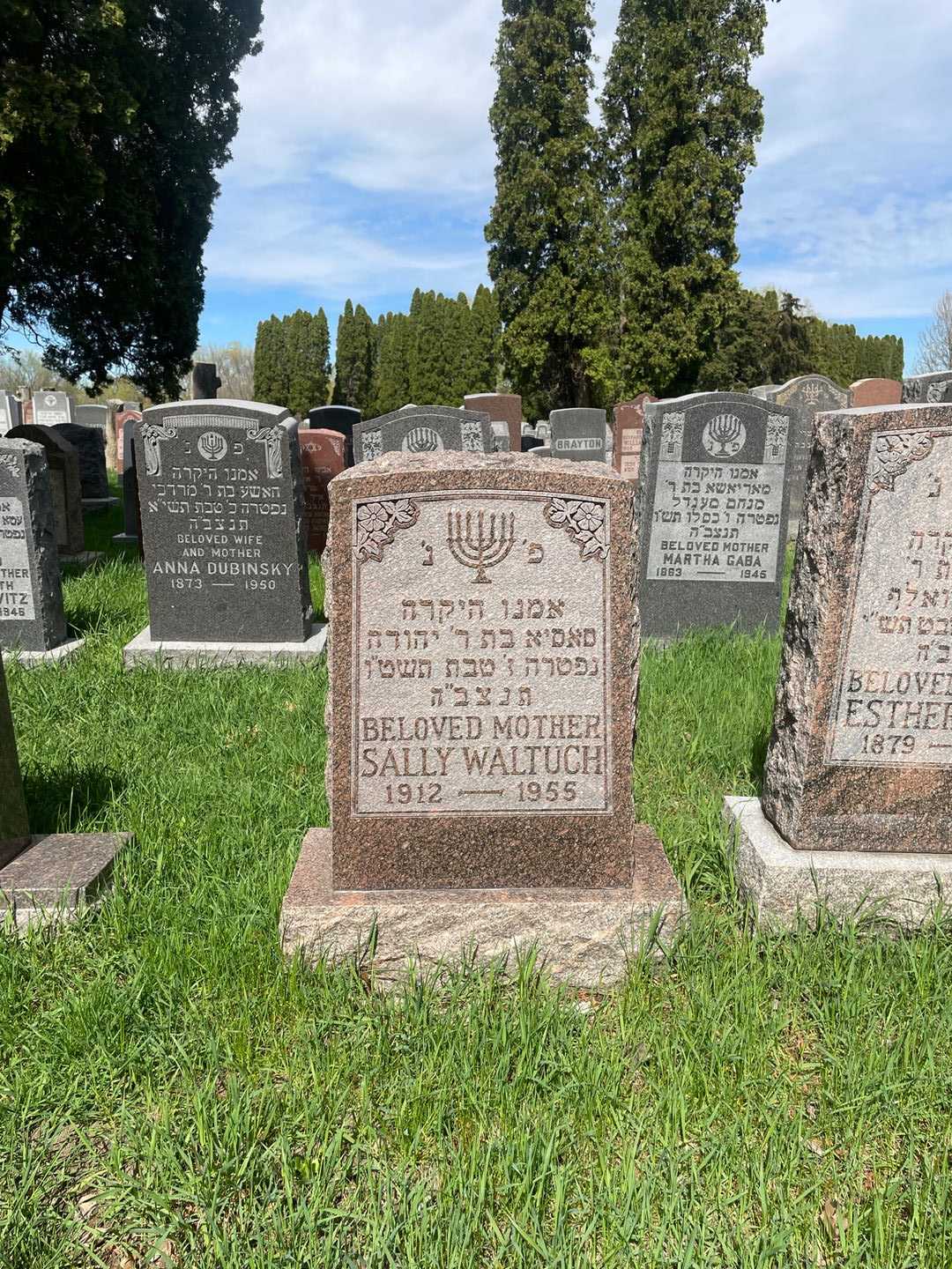 Sally Waltuch's grave. Photo 2