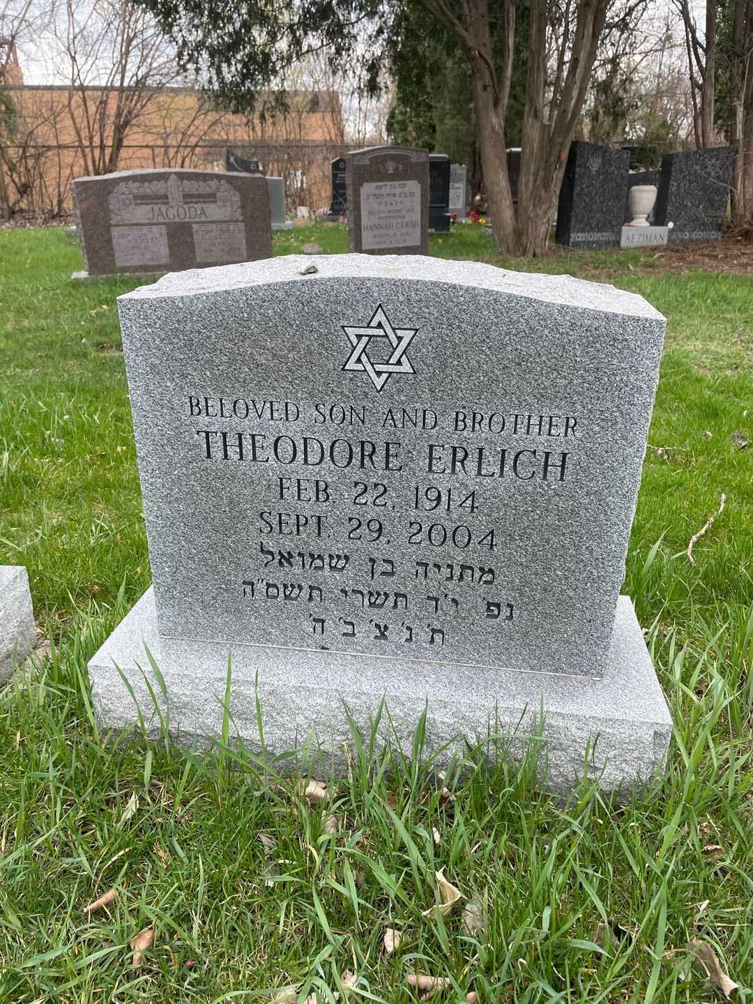 Theodore "Ted" Erlich's grave. Photo 1