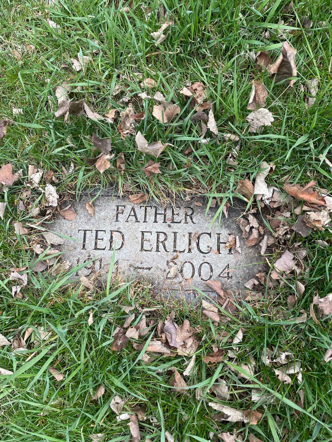 Theodore "Ted" Erlich's grave. Photo 3