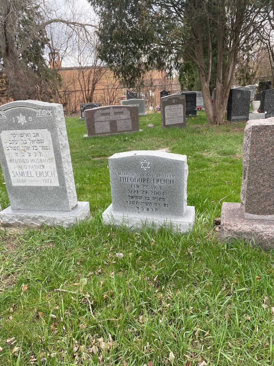 Theodore "Ted" Erlich's grave. Photo 2