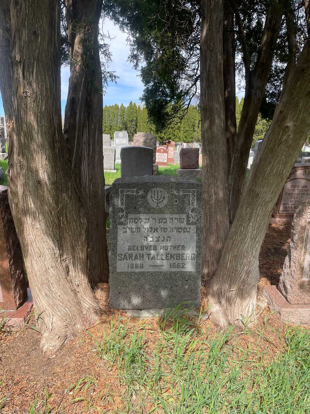 Sarah Tallenberg's grave. Photo 2