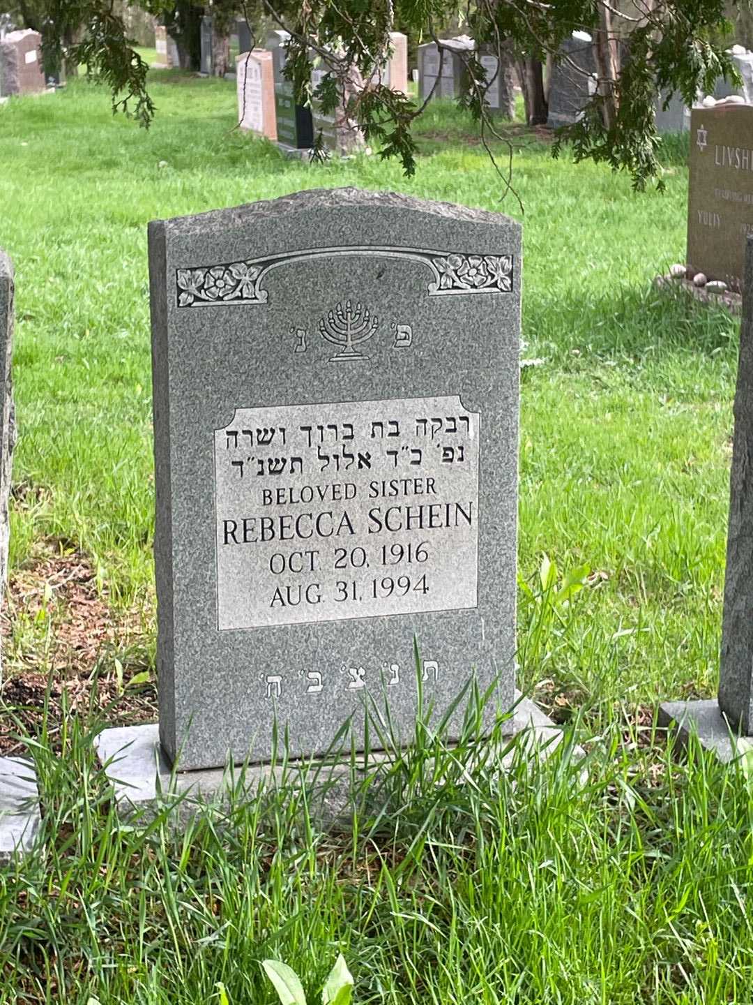 Rebecca Schein's grave. Photo 1