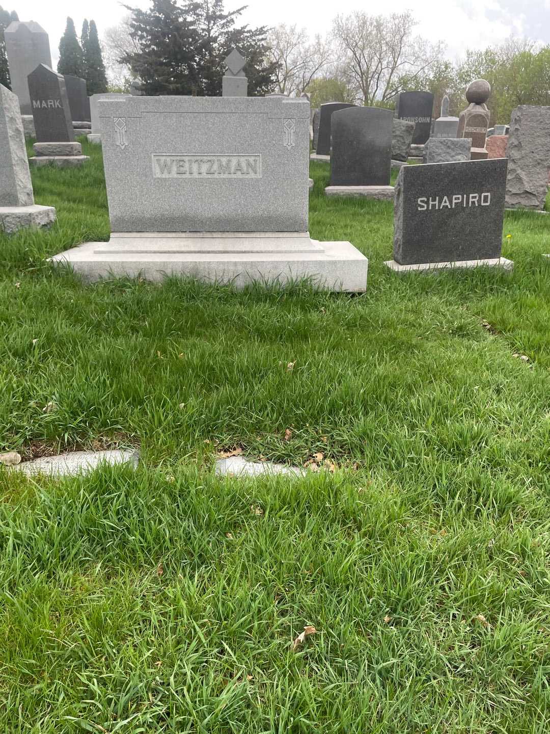Mollie Weitzman's grave. Photo 2