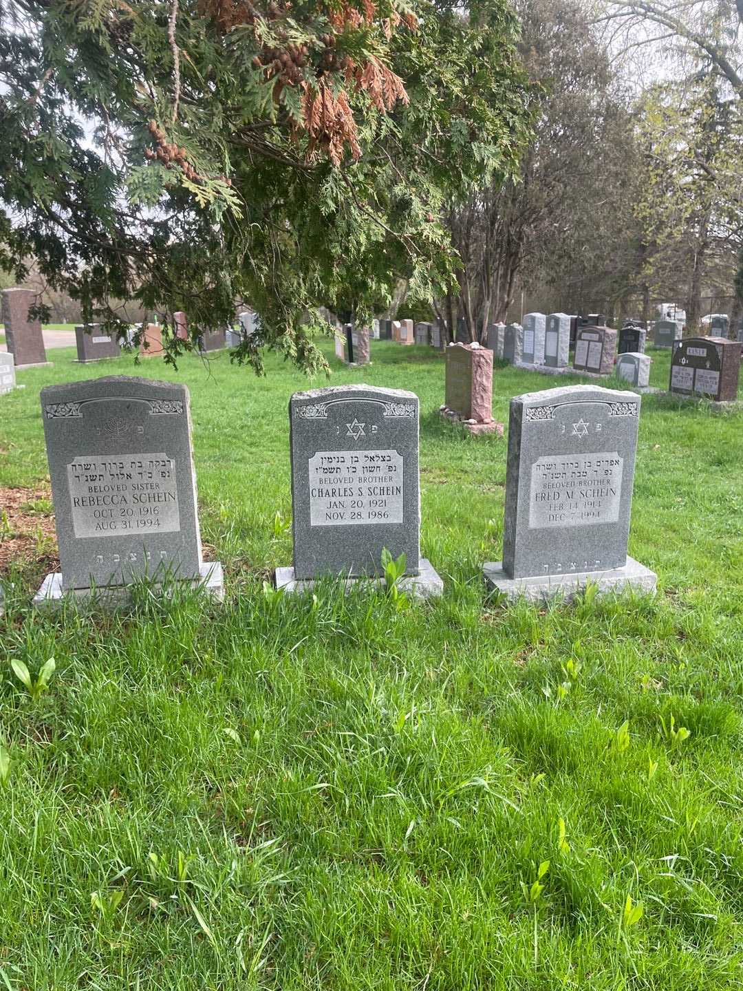 Charles S. Schein's grave. Photo 2