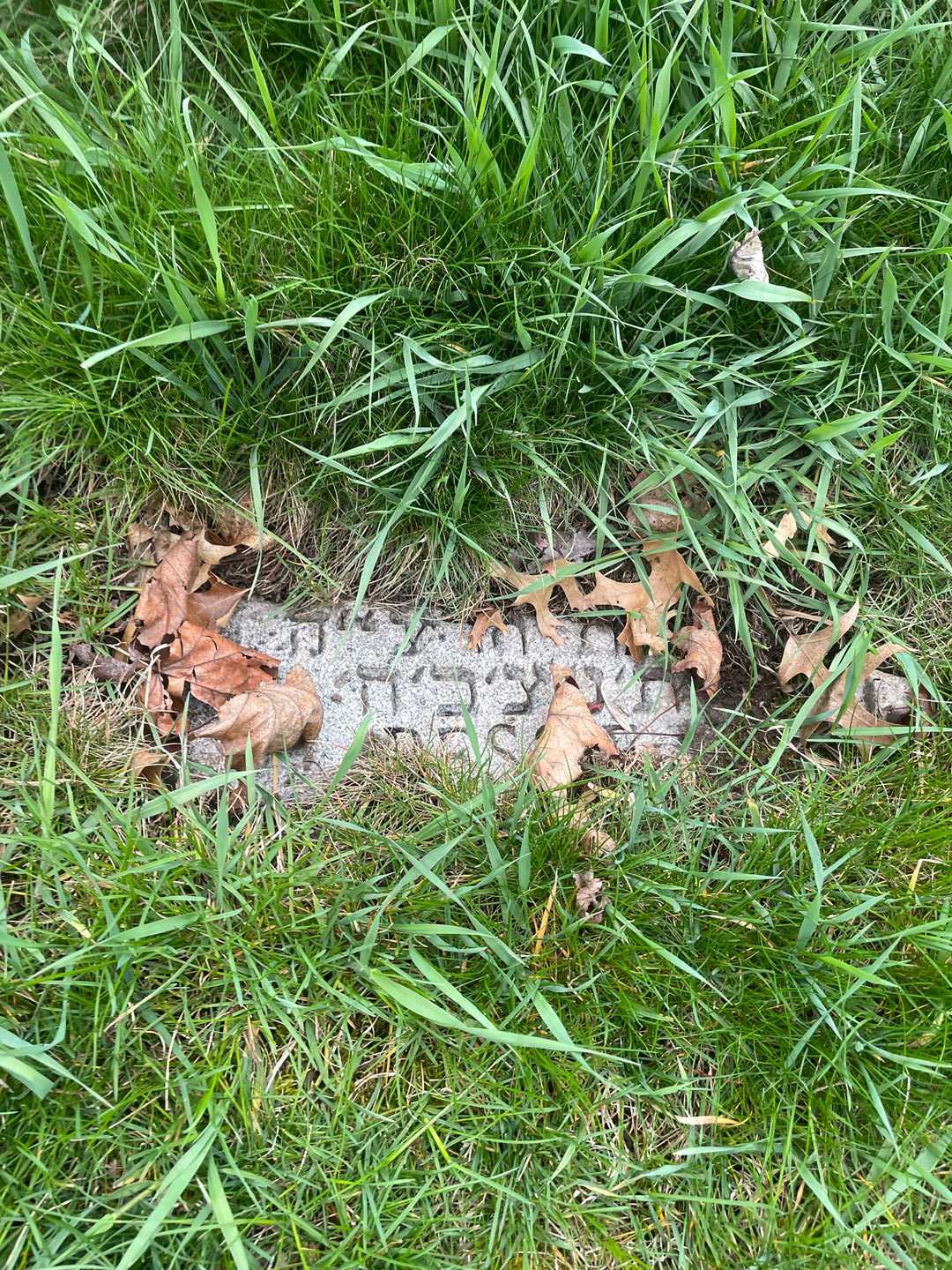 Bessie Weitzman's grave. Photo 3
