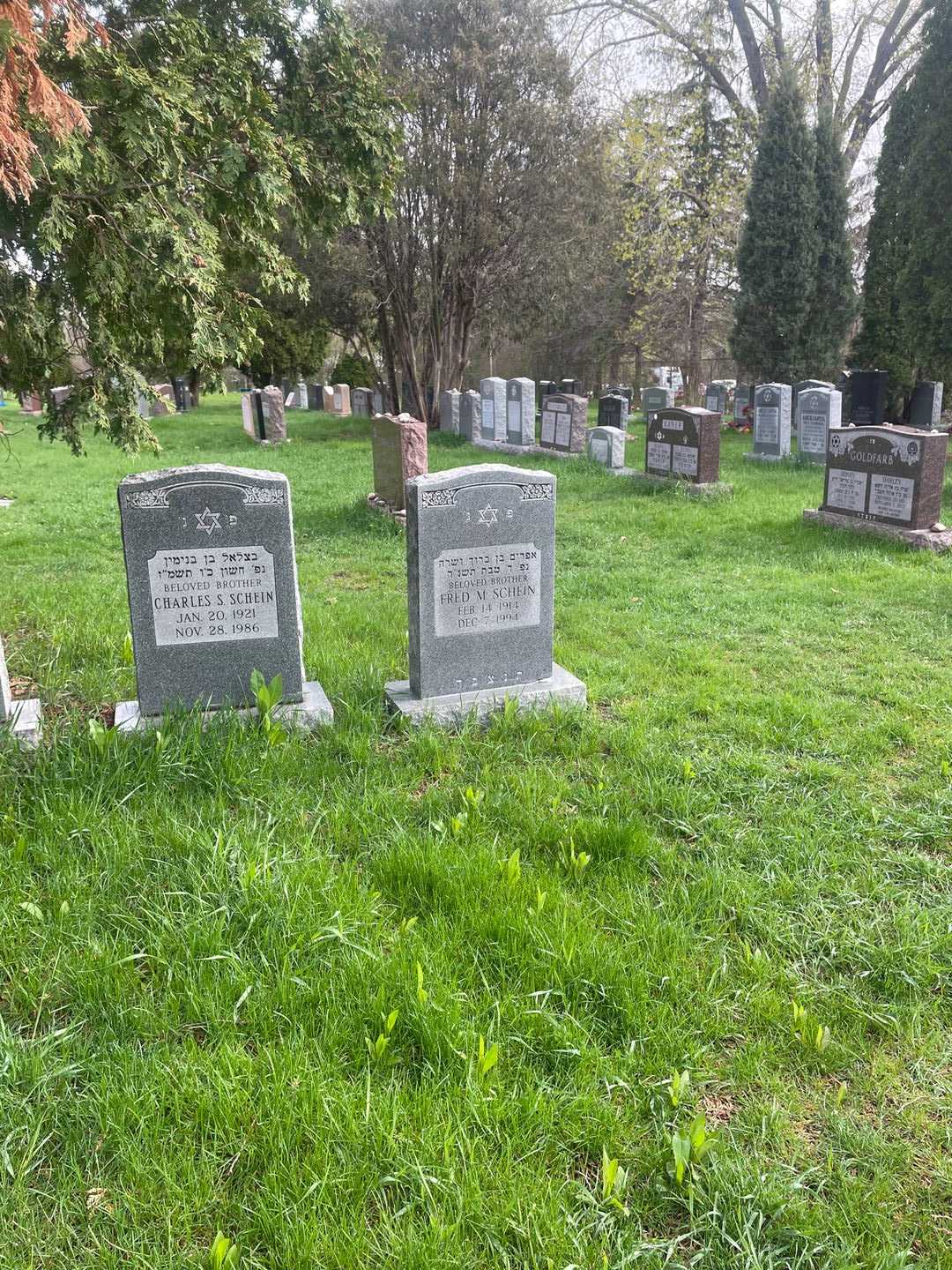Fred M. Schein's grave. Photo 2