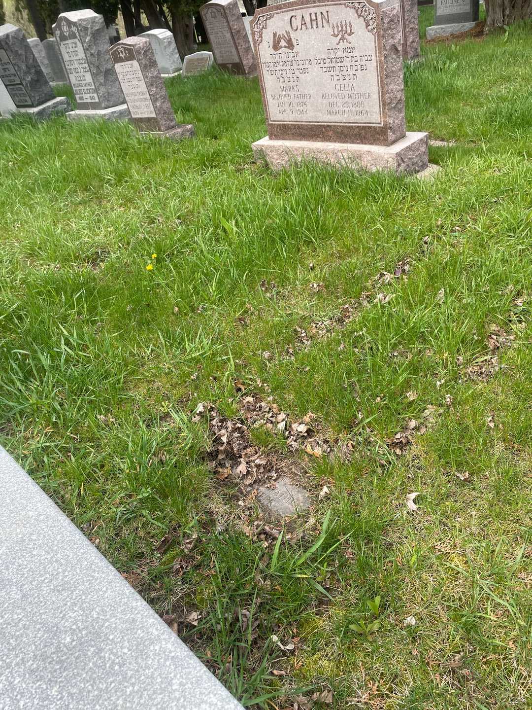 Fred Neff's grave. Photo 2