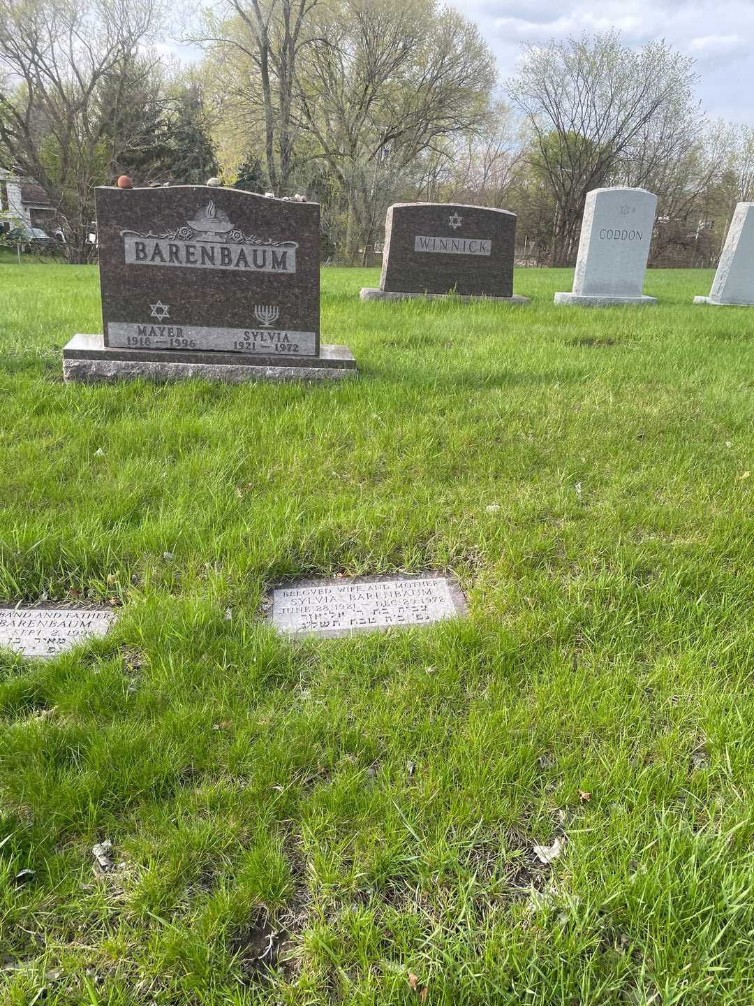 Sylvia Barenbaum's grave. Photo 2