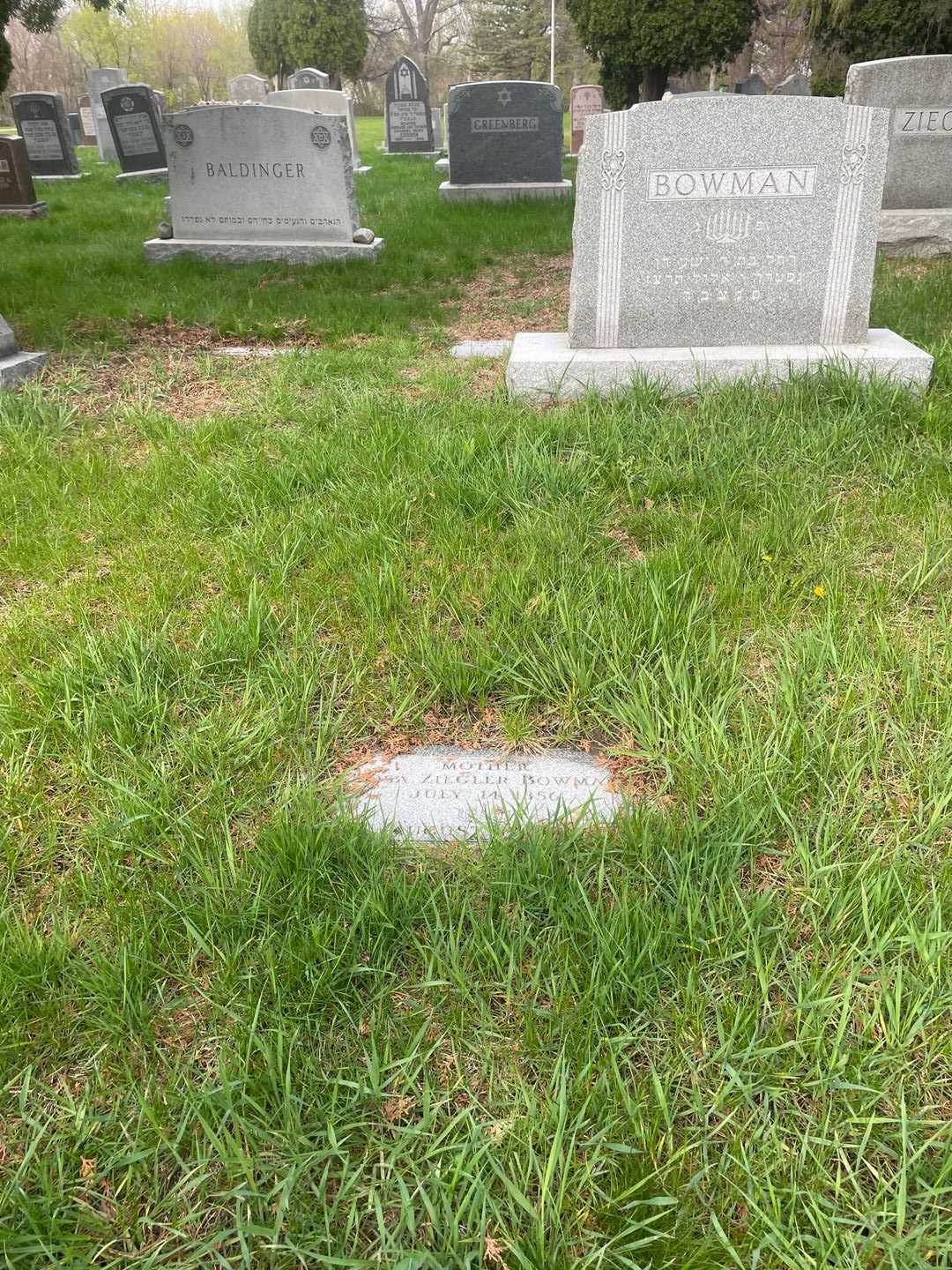 Rosa Ziegler Bowman's grave. Photo 2