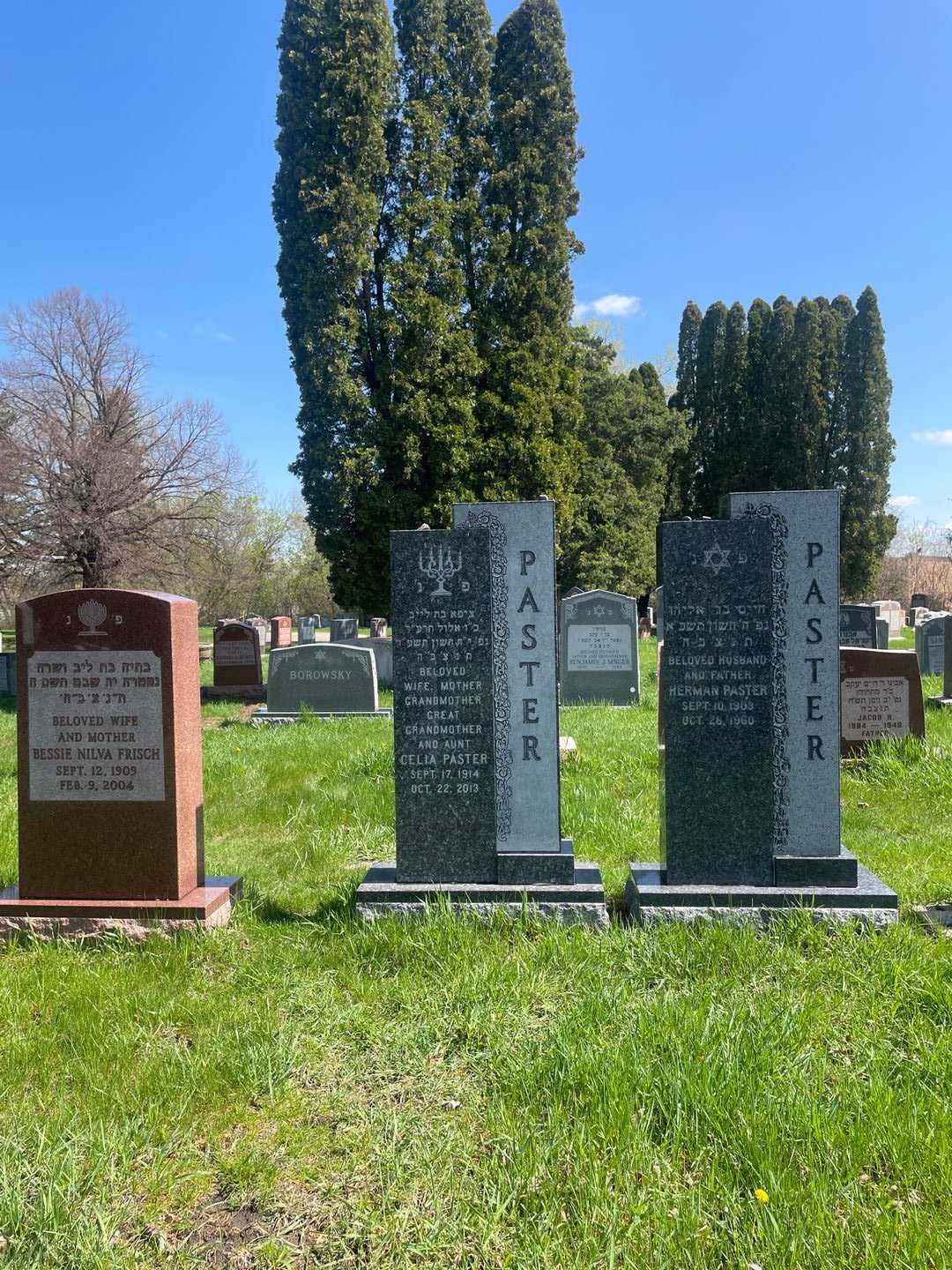 Celia Paster's grave. Photo 2