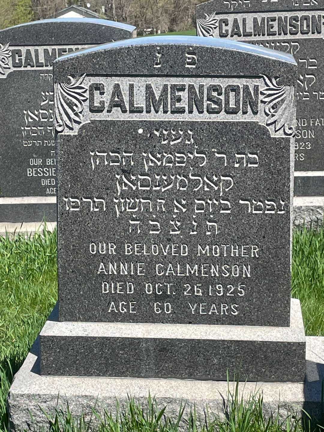 Annie Calmenson's grave. Photo 1