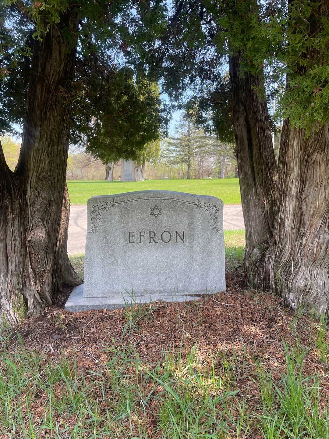 Samuel Efron's grave. Photo 1