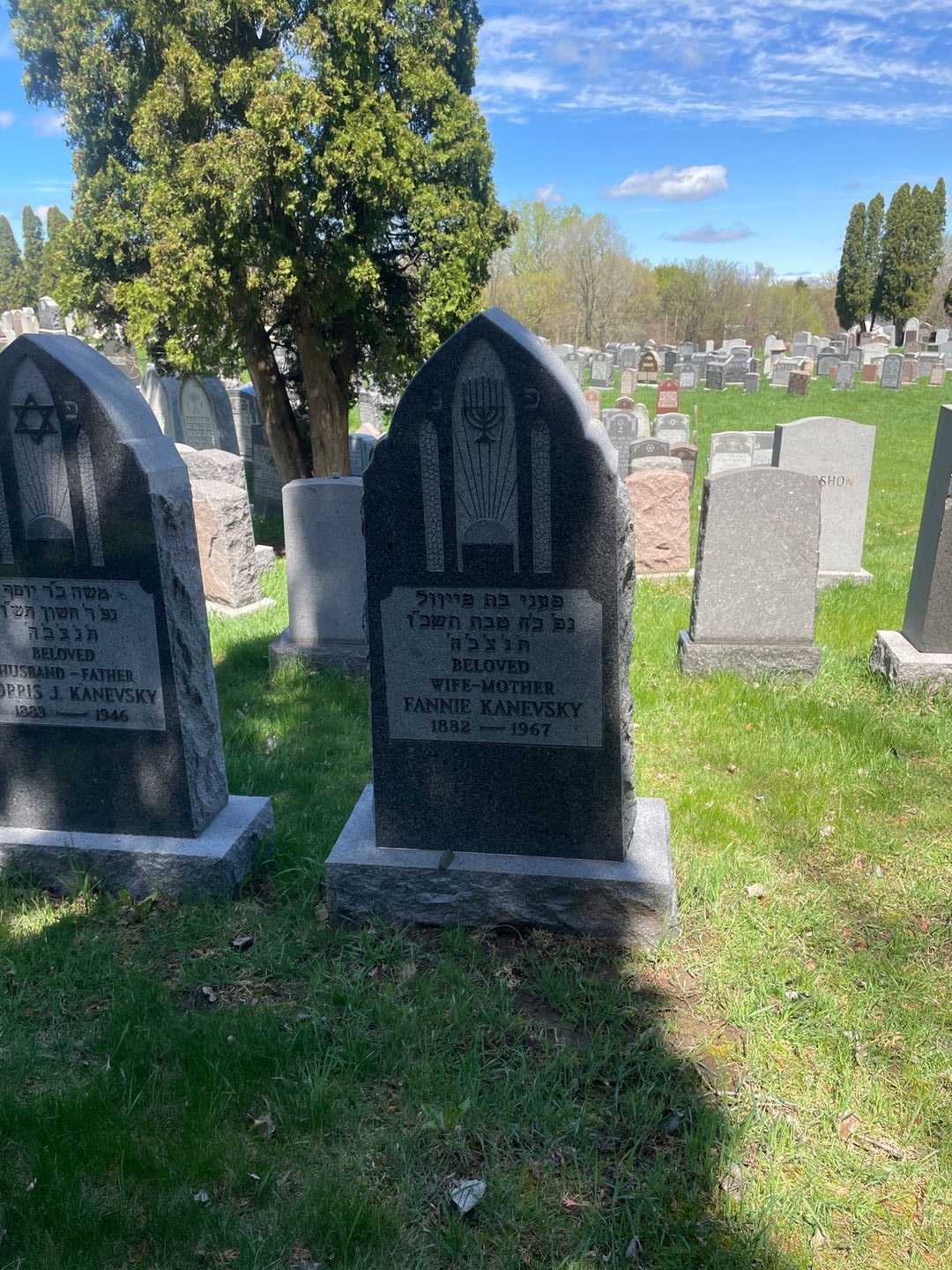 Fannie Kanevsky's grave. Photo 2