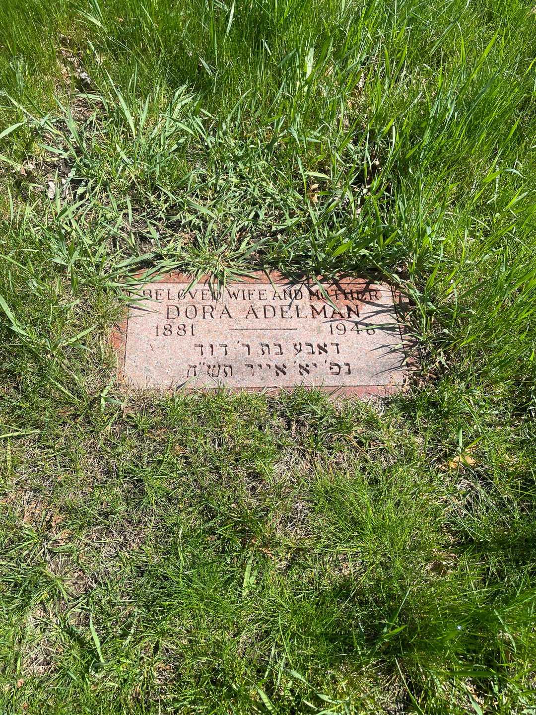 Dora Adelman's grave. Photo 3