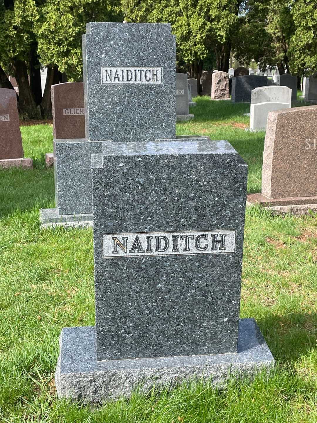 Harold Martin Naiditch's grave. Photo 1