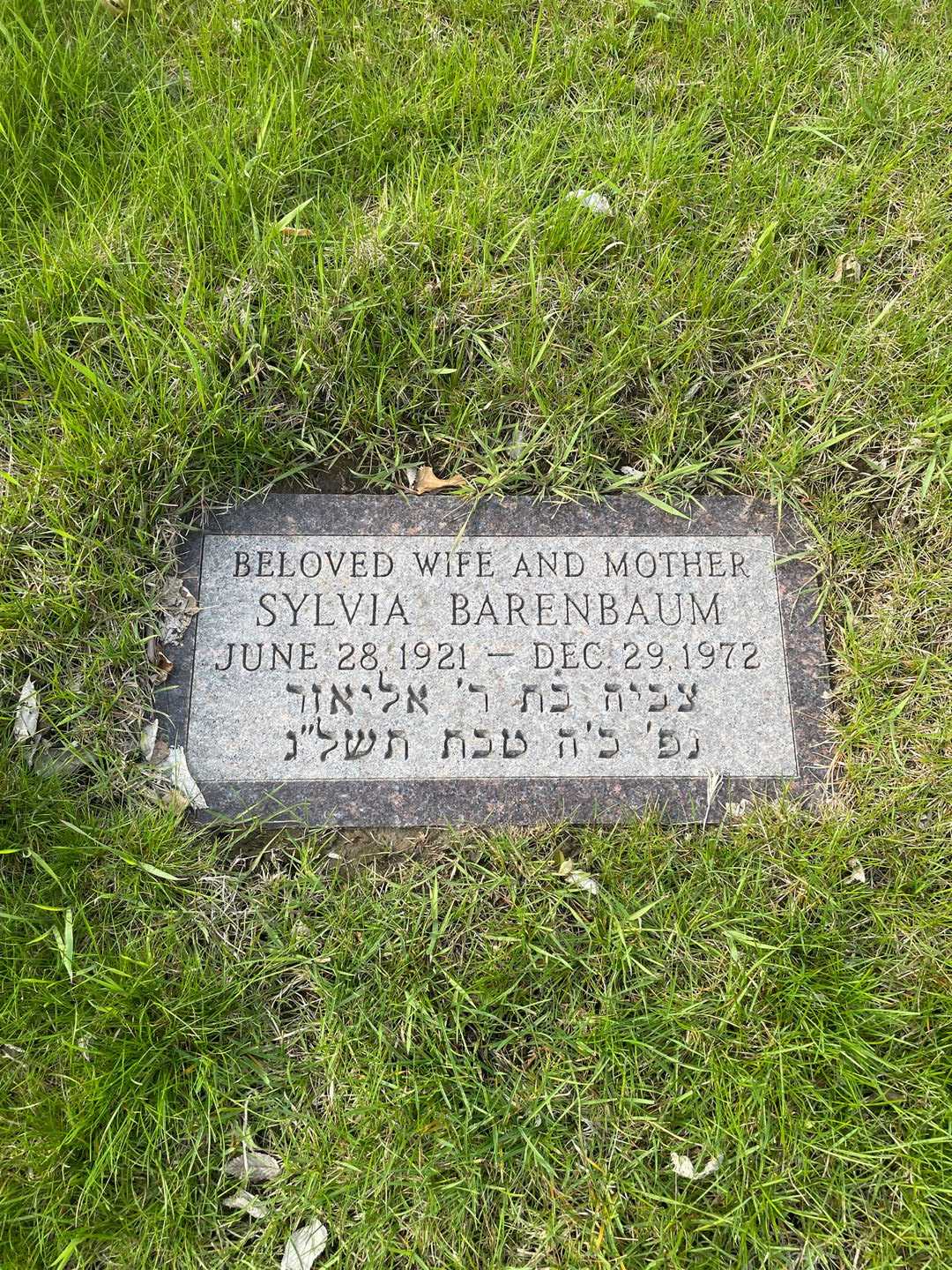 Sylvia Barenbaum's grave. Photo 3