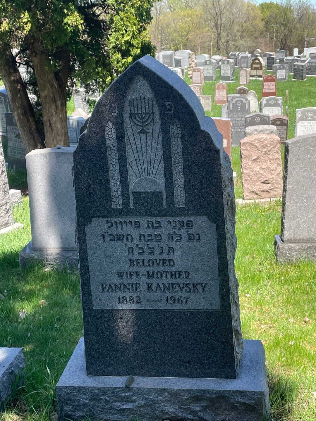 Fannie Kanevsky's grave. Photo 1