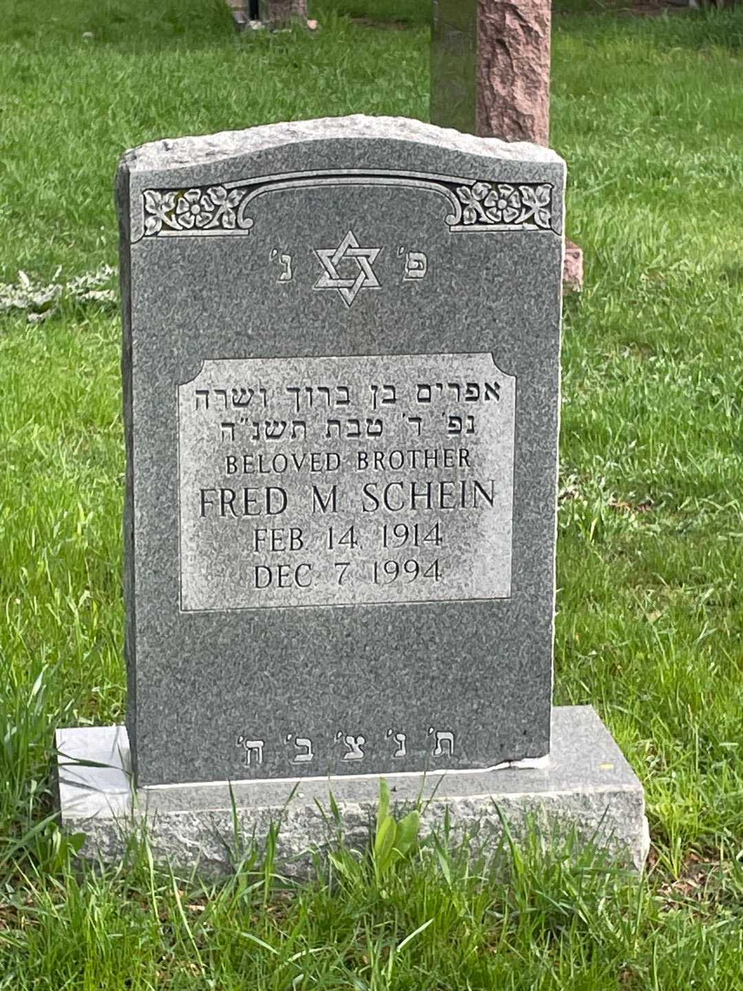 Fred M. Schein's grave. Photo 1