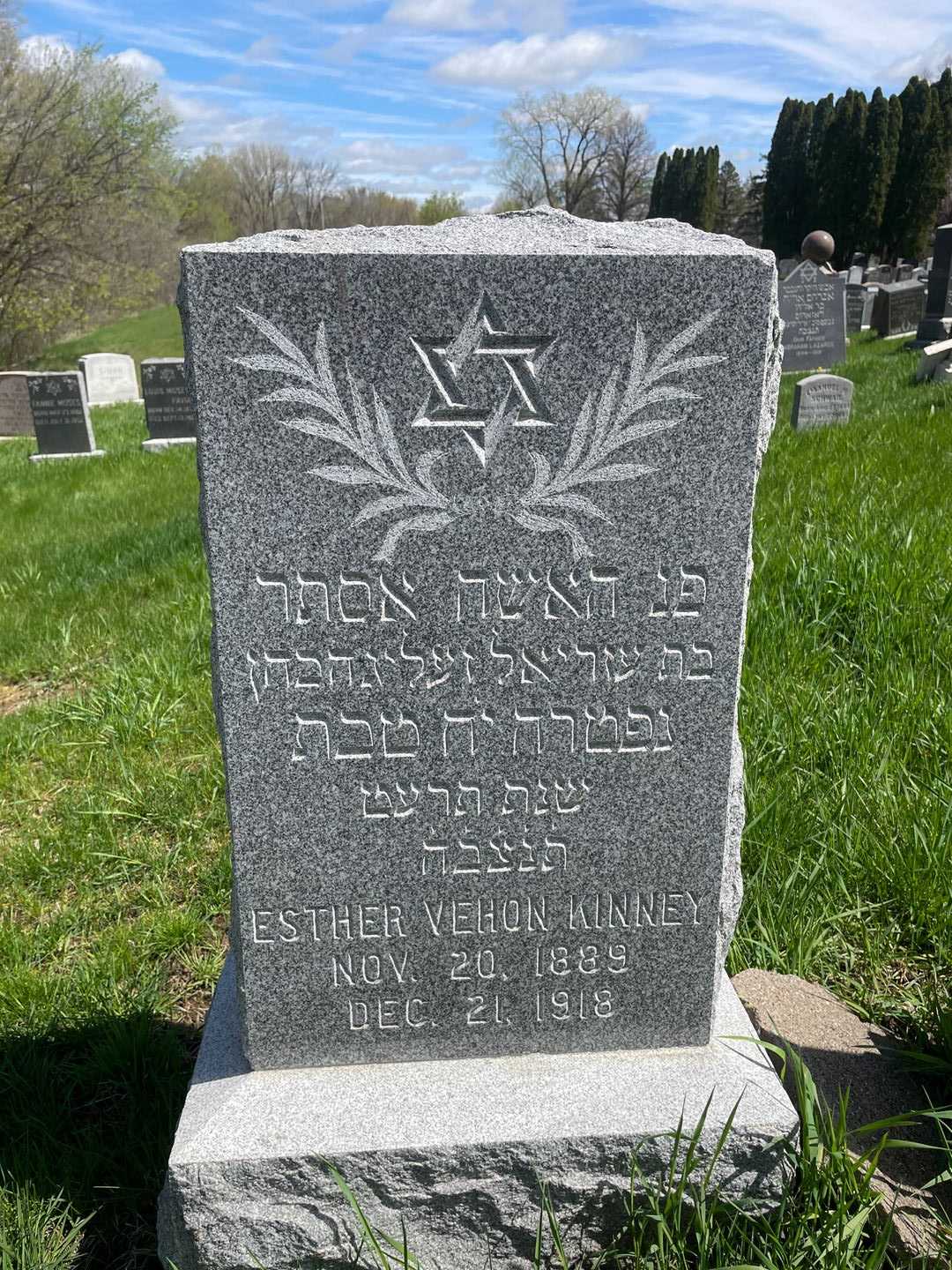 Esther Vehon Kinney's grave. Photo 1