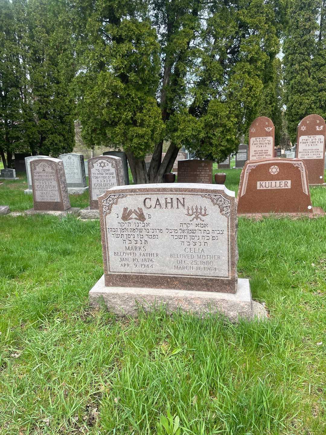 Celia Cahn's grave. Photo 2