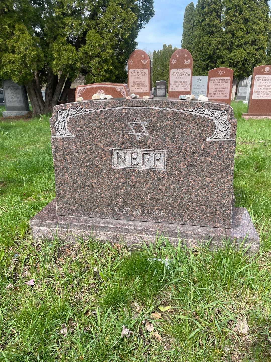 Fred Neff's grave. Photo 1
