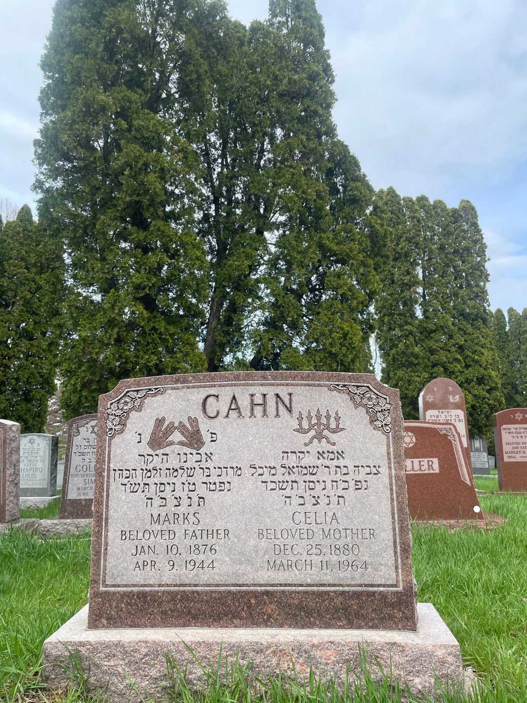 Celia Cahn's grave. Photo 1