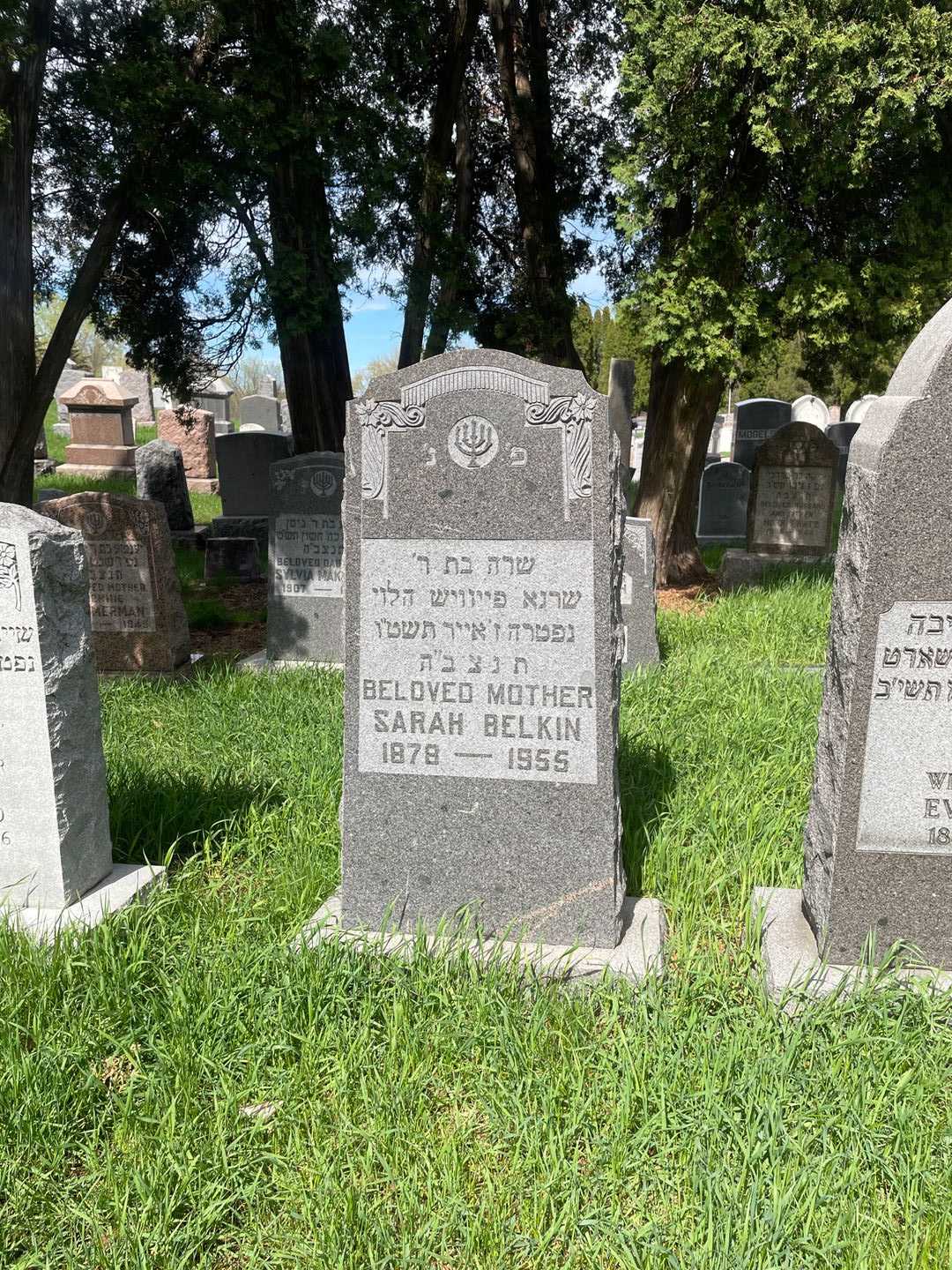 Sarah Belkin's grave. Photo 2