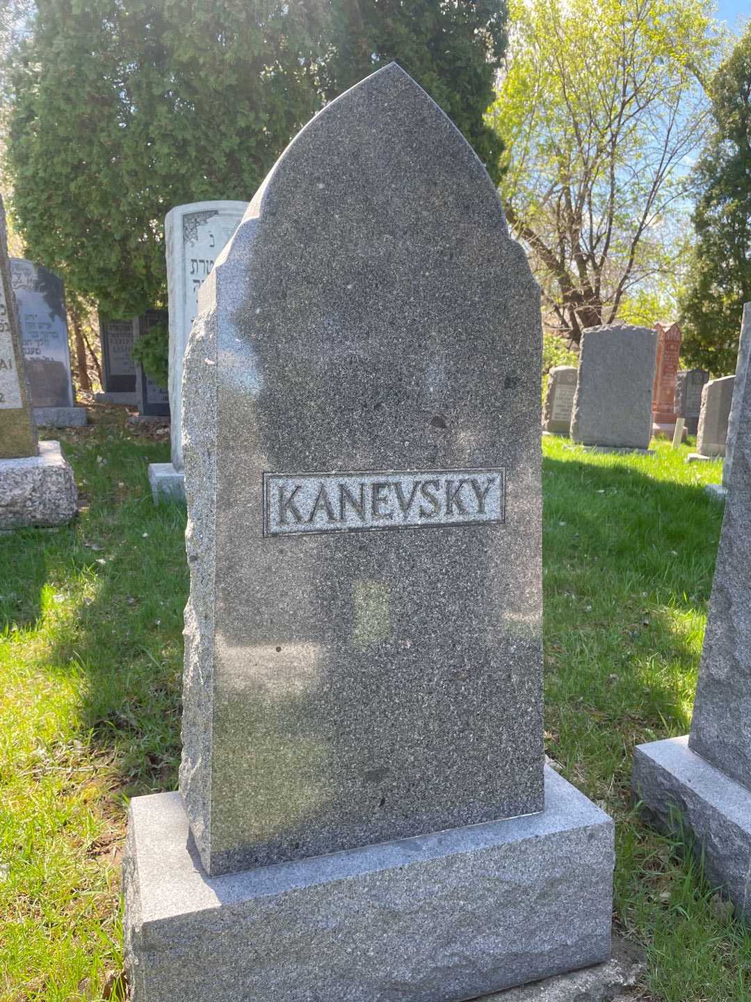 Fannie Kanevsky's grave. Photo 3