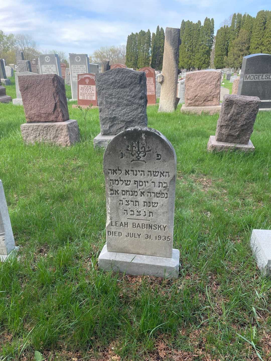 Leah Babinsky's grave. Photo 2