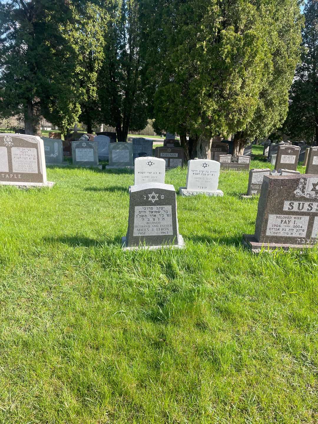 Miles J. Efron's grave. Photo 2