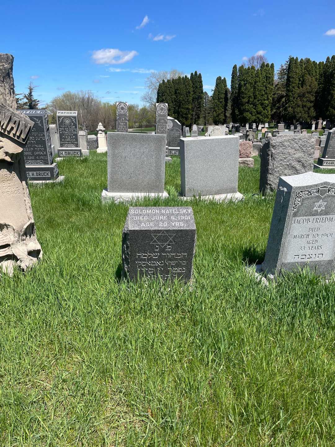 Solomon Natelsky's grave. Photo 2