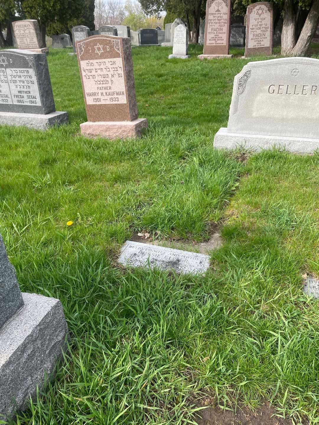 Gussie Geller's grave. Photo 2