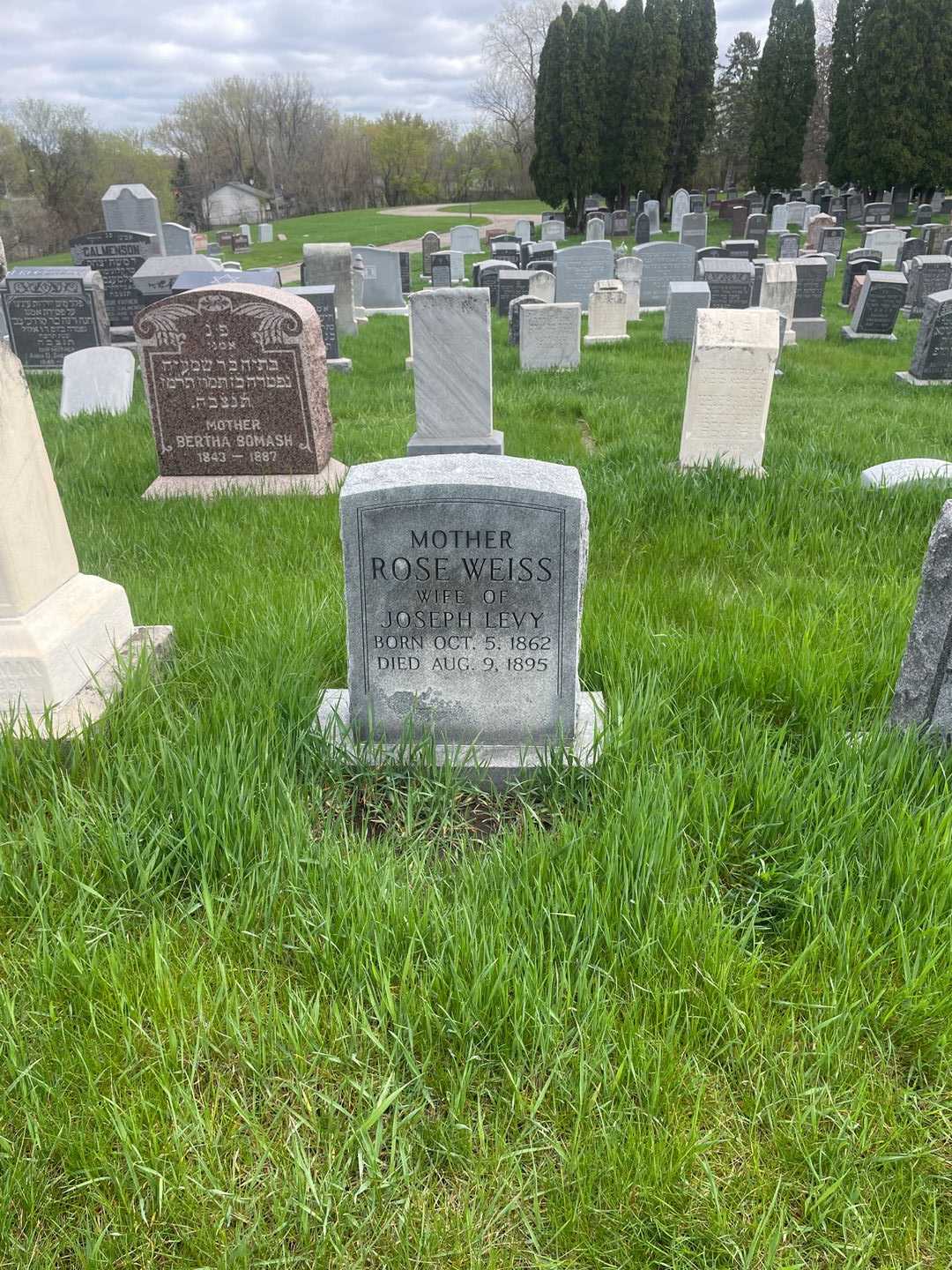 Rose Weiss Levy's grave. Photo 2