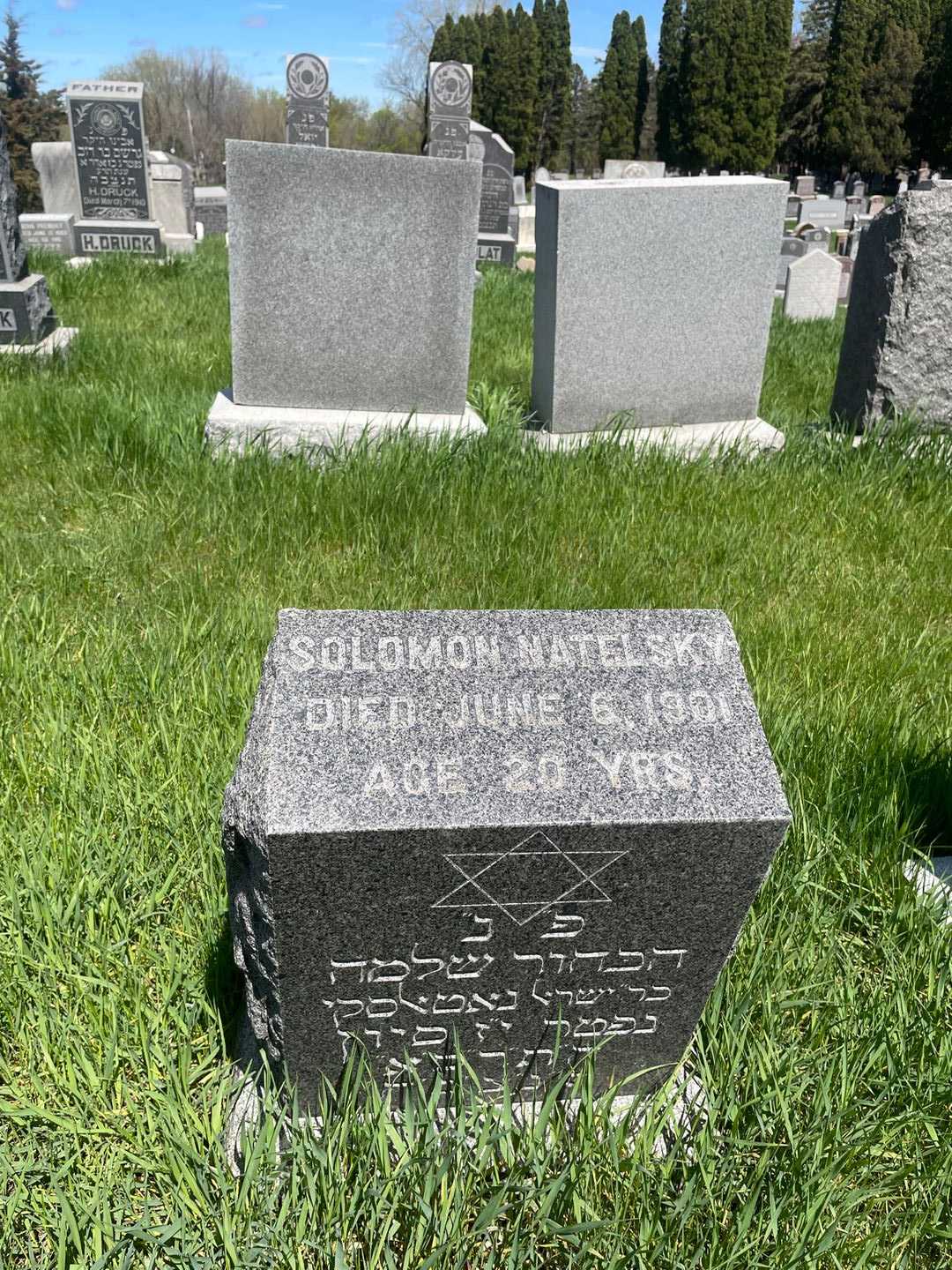 Solomon Natelsky's grave. Photo 1