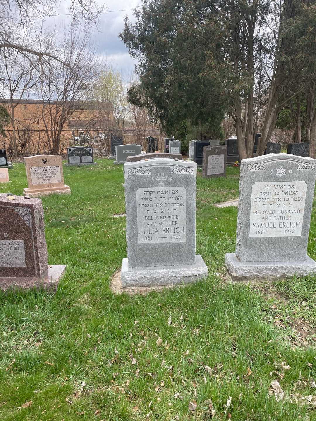 Julia Erlich's grave. Photo 2