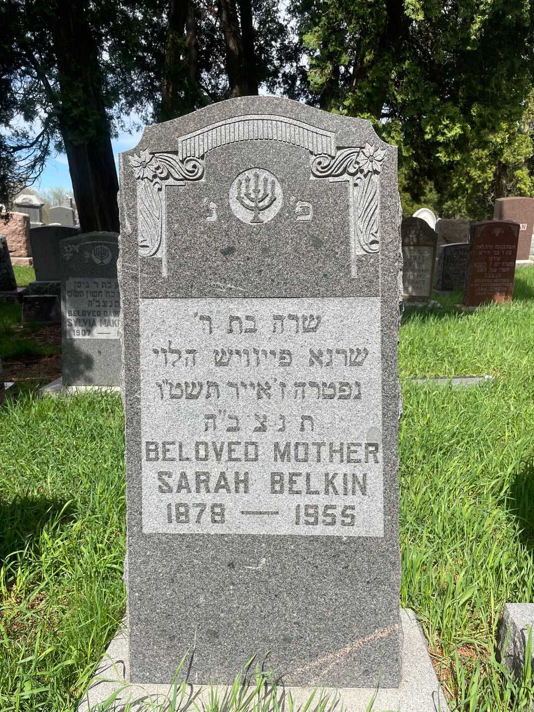 Sarah Belkin's grave. Photo 1