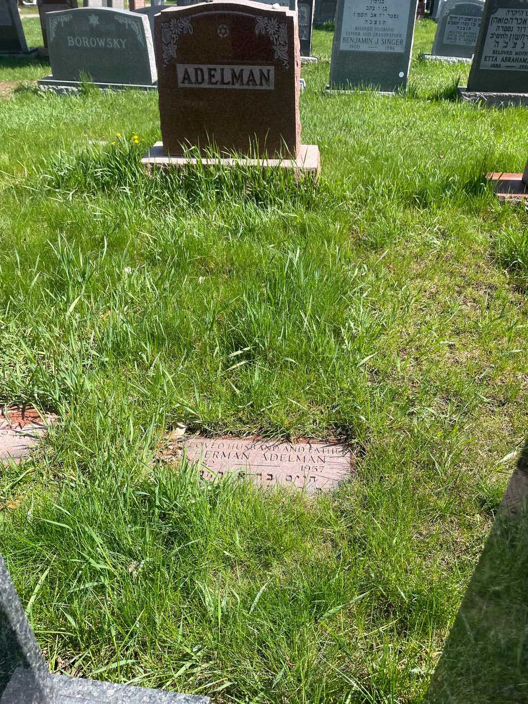Herman Adelman's grave. Photo 2