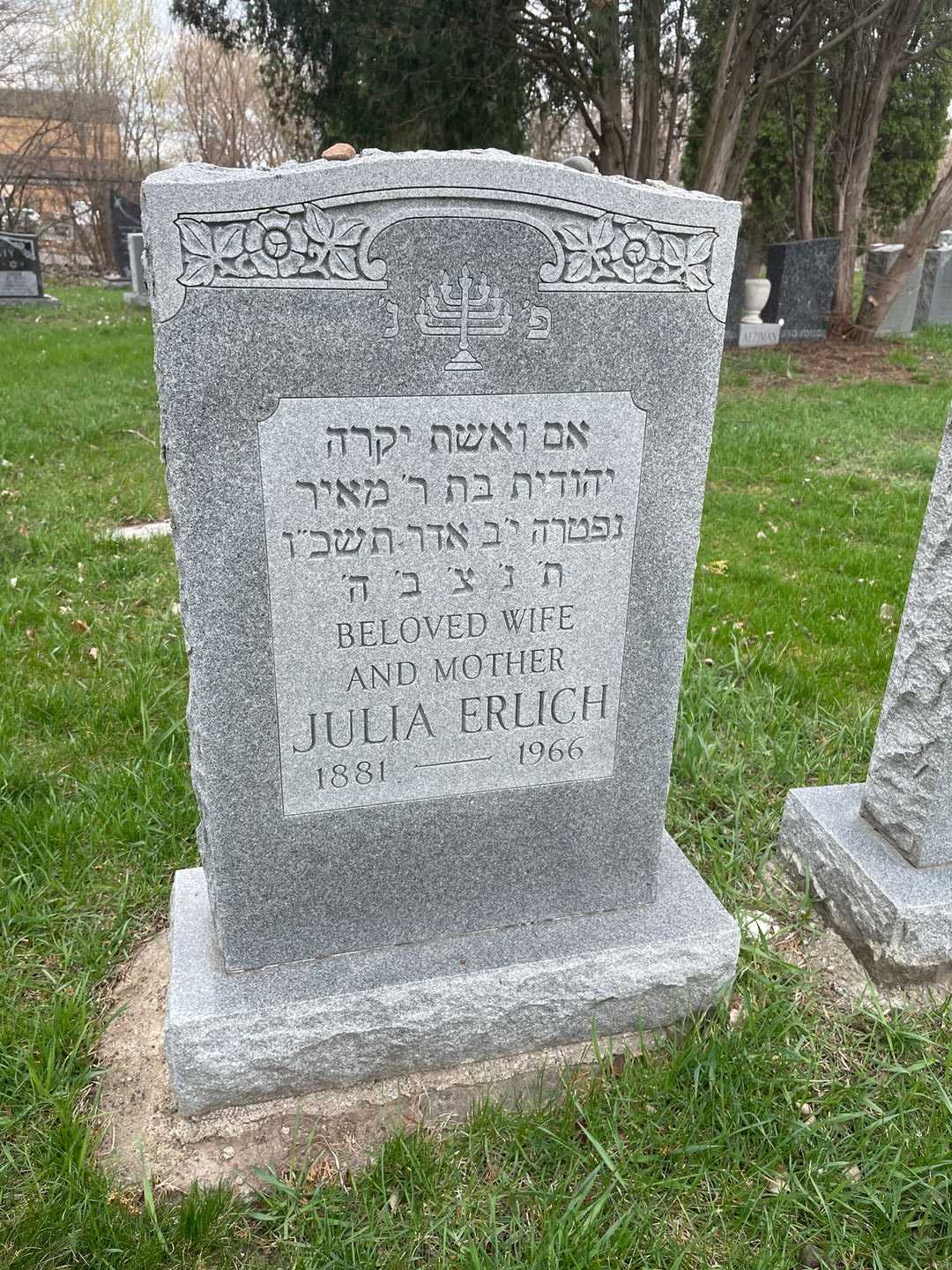 Julia Erlich's grave. Photo 1