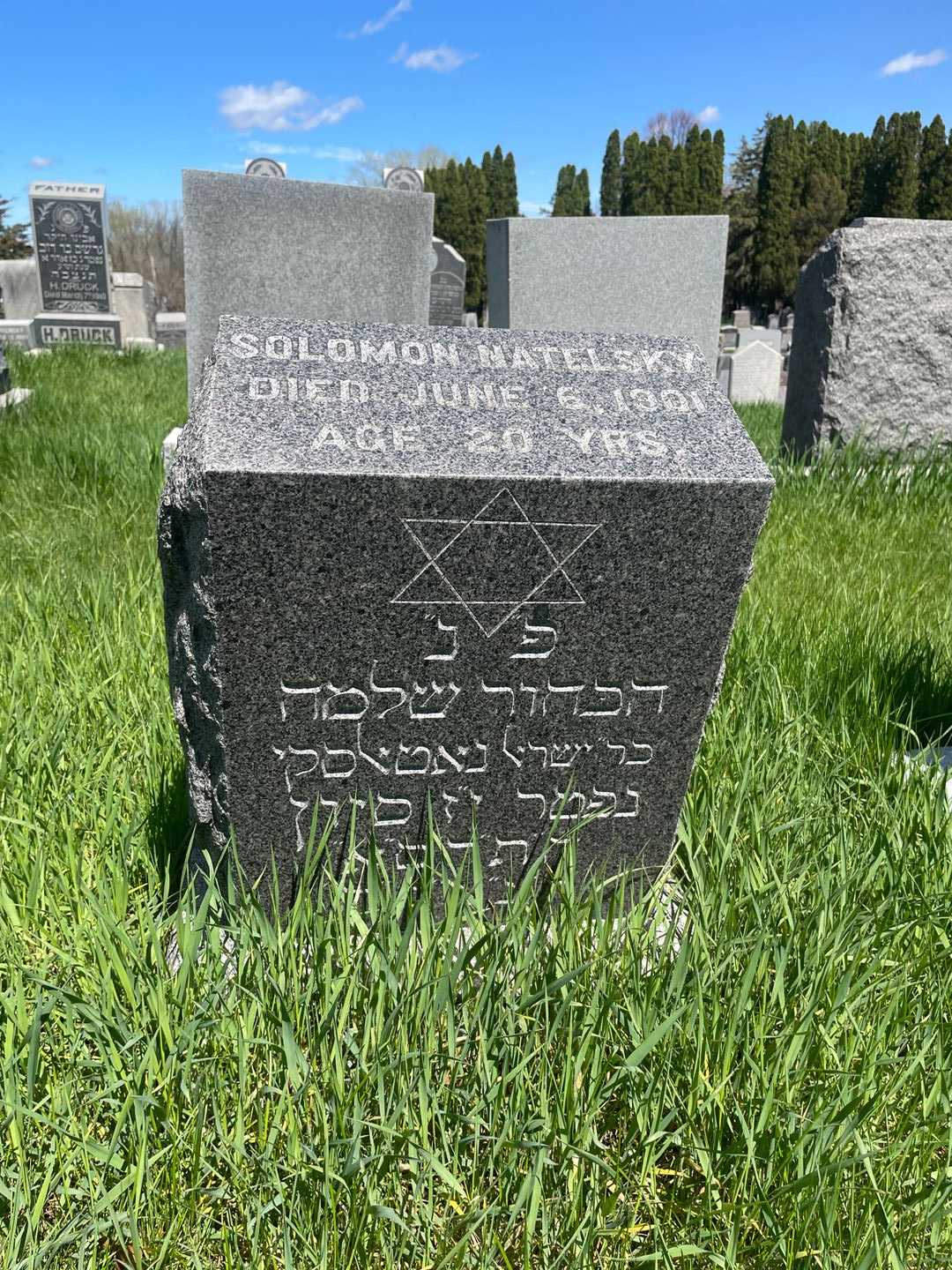 Solomon Natelsky's grave. Photo 3
