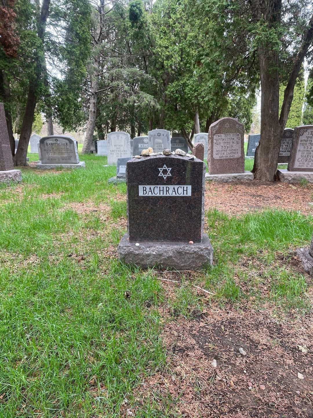 Jerome Bachrach's grave. Photo 1