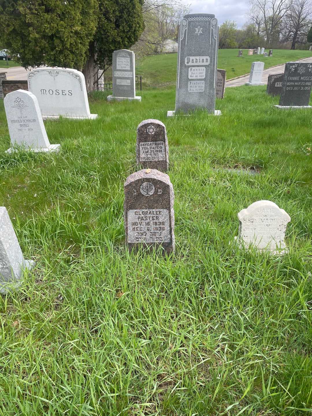 Gloralee Paster's grave. Photo 2