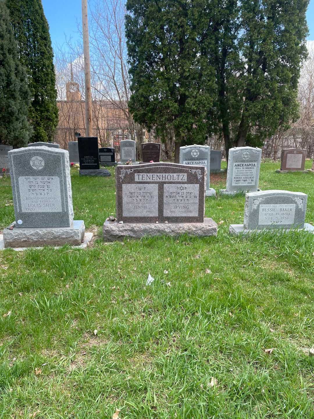 Irving Tenenholtz's grave. Photo 2