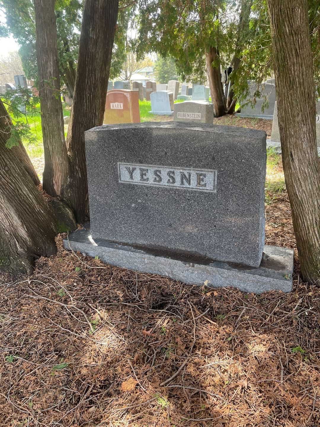 Herman Yessne's grave. Photo 1