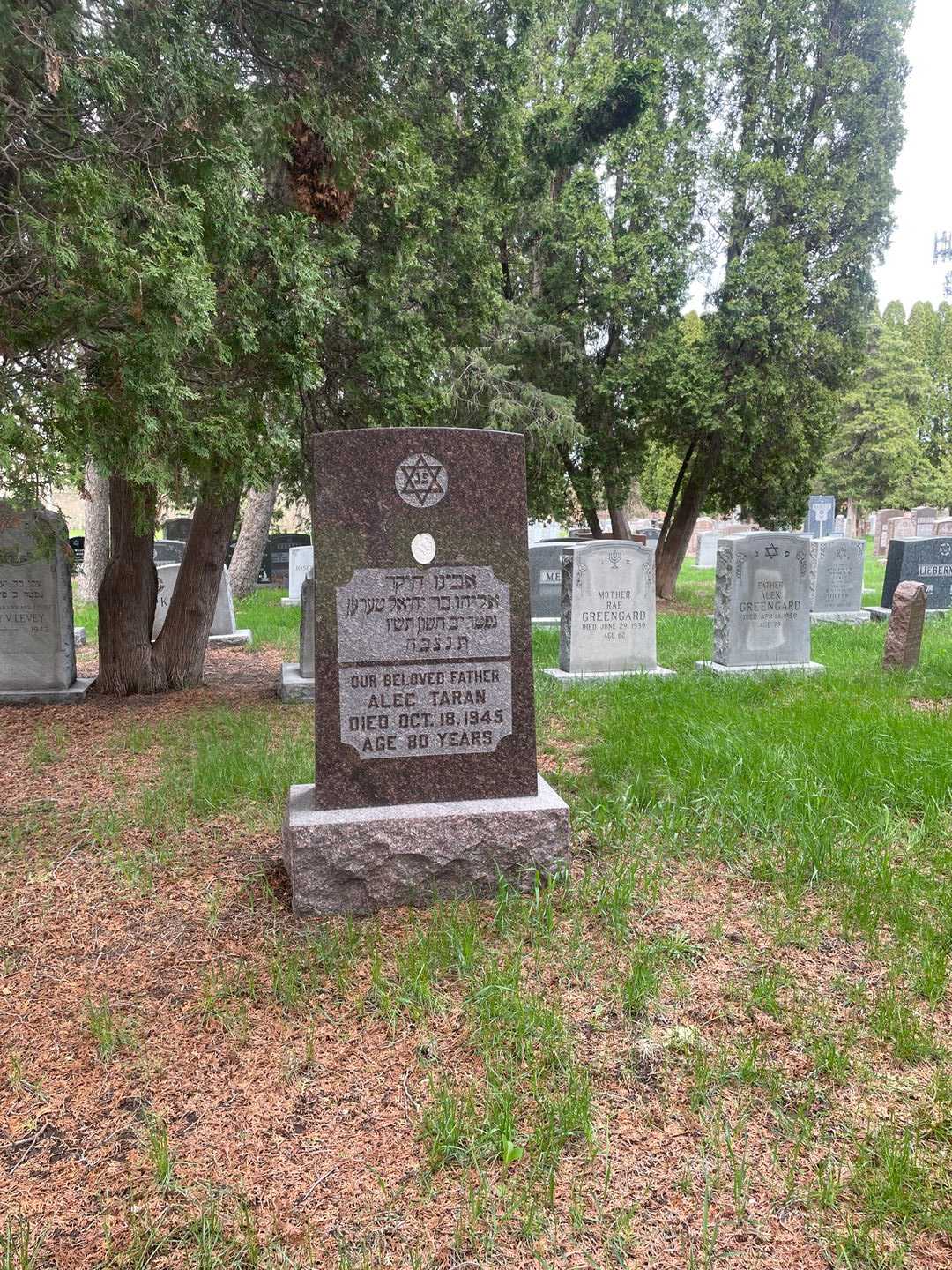 Alec Taran's grave. Photo 2