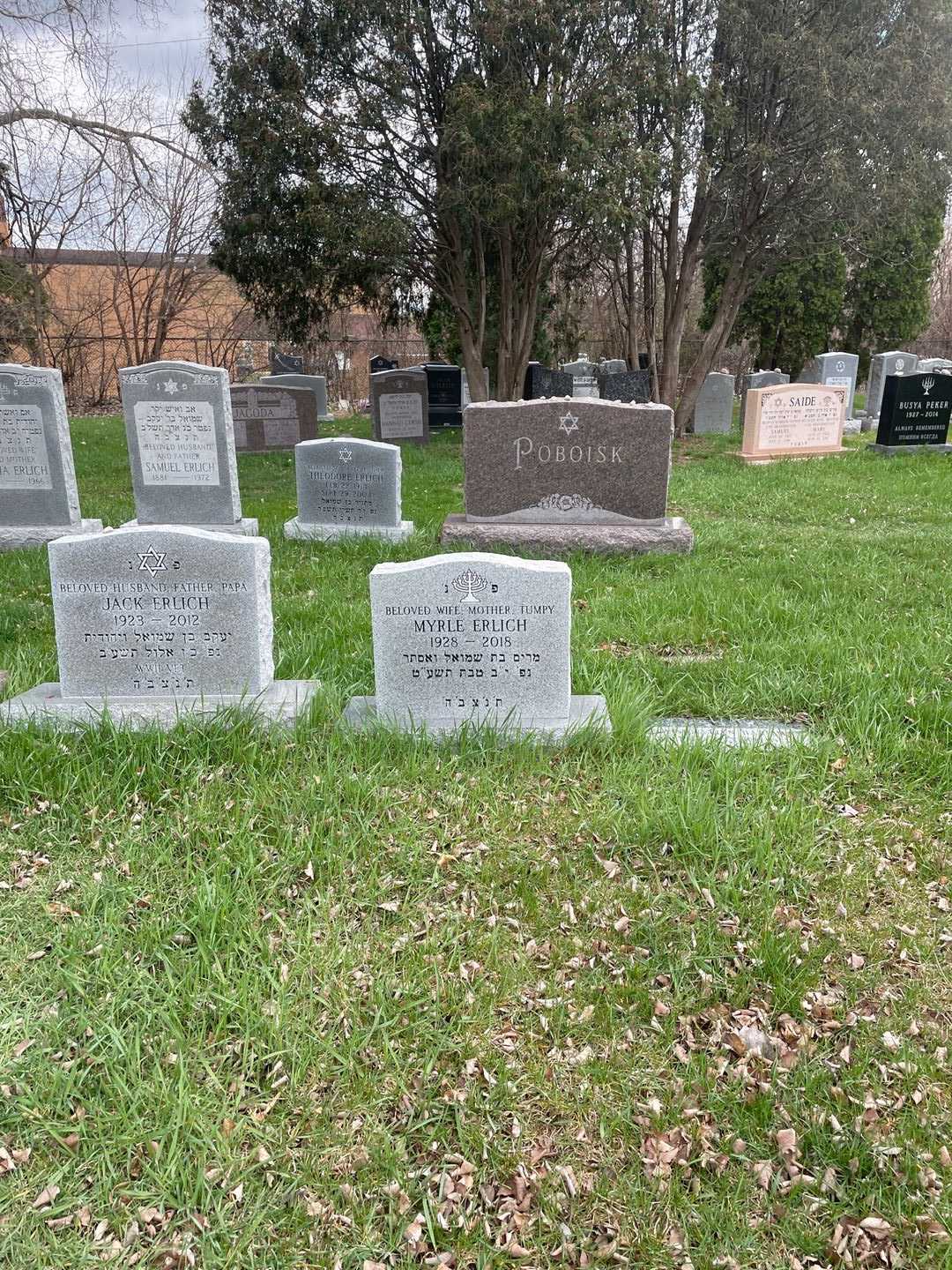 Myrle Erlich's grave. Photo 2