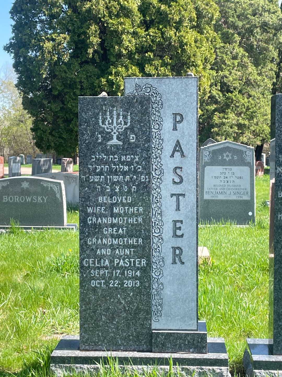 Celia Paster's grave. Photo 1